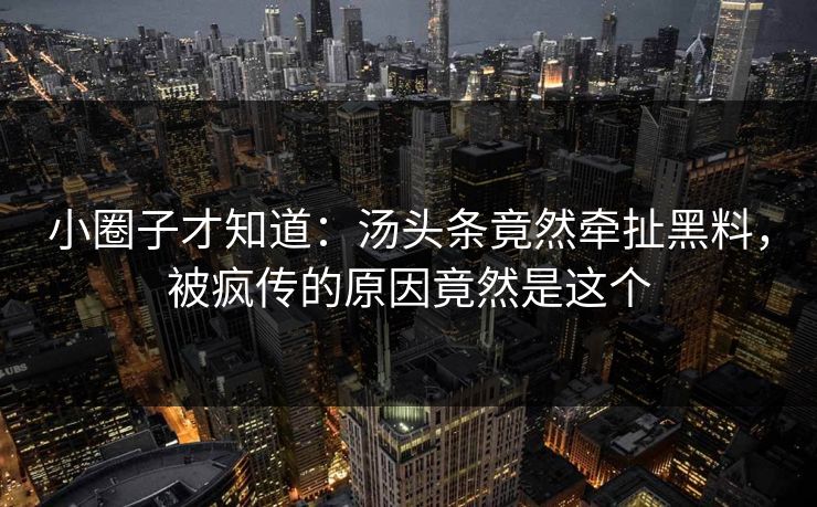 小圈子才知道：汤头条竟然牵扯黑料，被疯传的原因竟然是这个