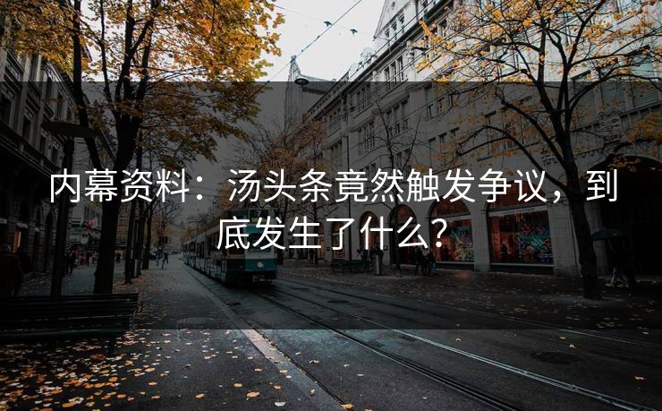 内幕资料：汤头条竟然触发争议，到底发生了什么？