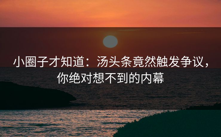 小圈子才知道：汤头条竟然触发争议，你绝对想不到的内幕