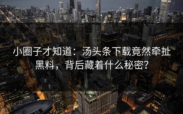 小圈子才知道:汤头条下载竟然牵扯黑料,背后藏着什么秘密?