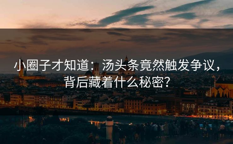小圈子才知道：汤头条竟然触发争议，背后藏着什么秘密？