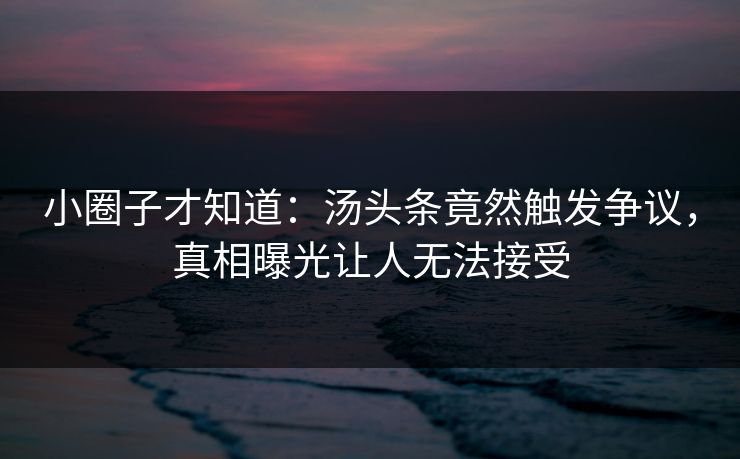 小圈子才知道：汤头条竟然触发争议，真相曝光让人无法接受