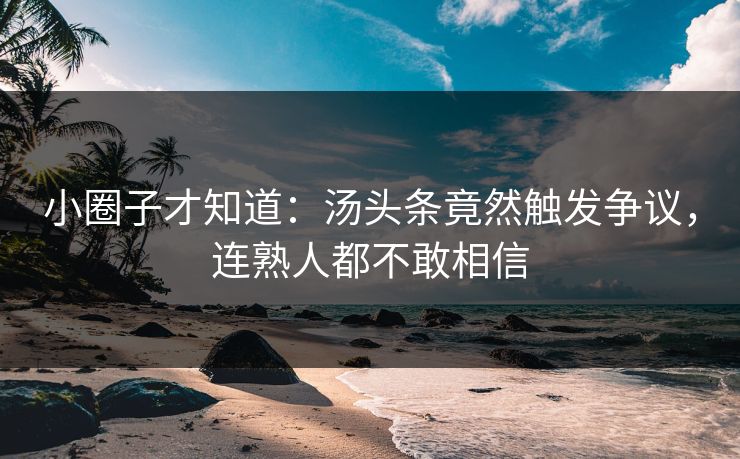 小圈子才知道：汤头条竟然触发争议，连熟人都不敢相信