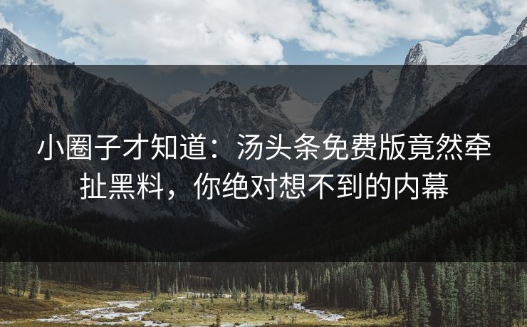 小圈子才知道：汤头条免费版竟然牵扯黑料，你绝对想不到的内幕