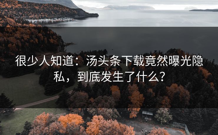很少人知道：汤头条下载竟然曝光隐私，到底发生了什么？