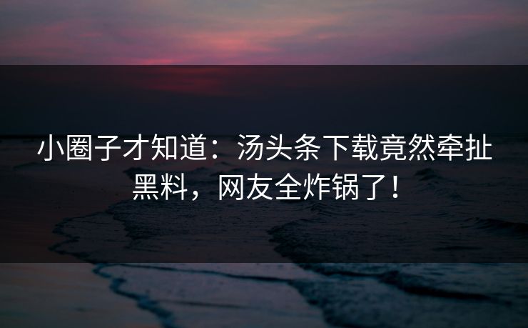 小圈子才知道：汤头条下载竟然牵扯黑料，网友全炸锅了！