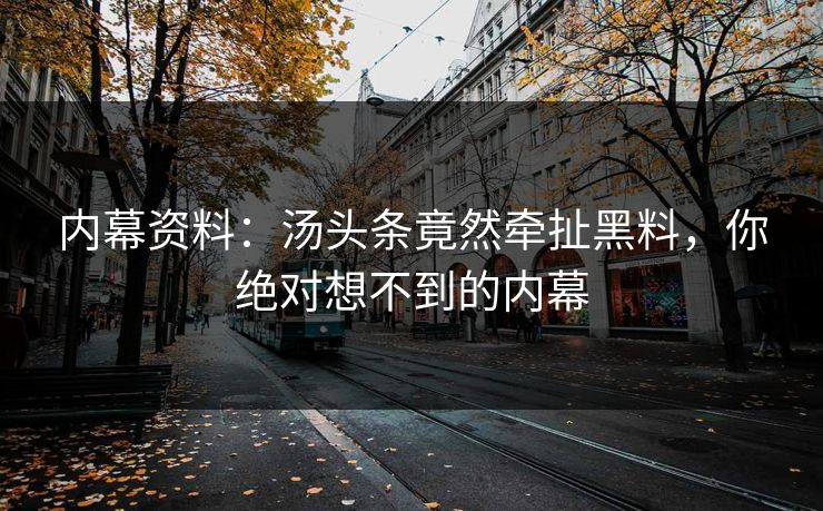 内幕资料：汤头条竟然牵扯黑料，你绝对想不到的内幕