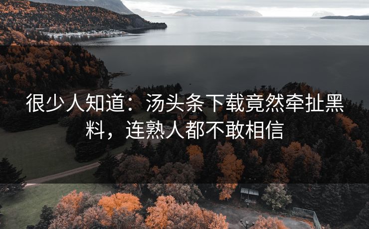 很少人知道：汤头条下载竟然牵扯黑料，连熟人都不敢相信