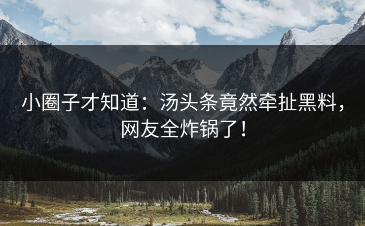小圈子才知道：汤头条竟然牵扯黑料，网友全炸锅了！