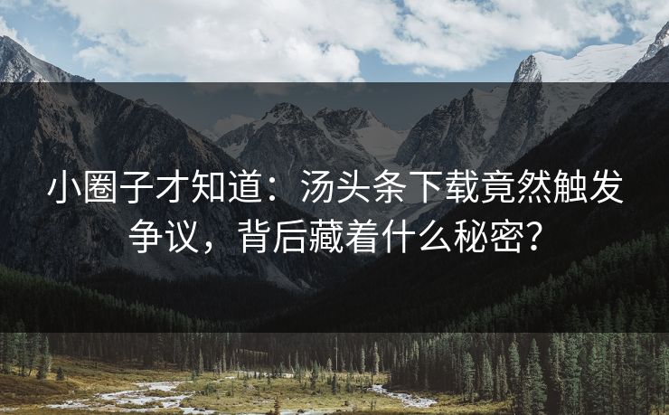小圈子才知道：汤头条下载竟然触发争议，背后藏着什么秘密？