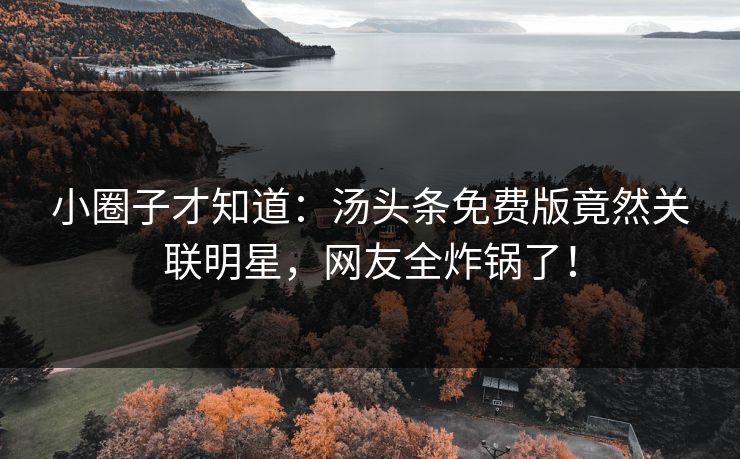 小圈子才知道：汤头条免费版竟然关联明星，网友全炸锅了！