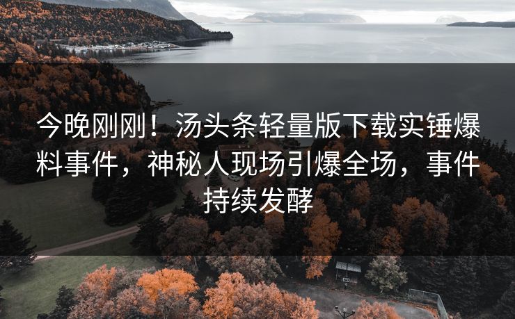 今晚刚刚！汤头条轻量版下载实锤爆料事件，神秘人现场引爆全场，事件持续发酵