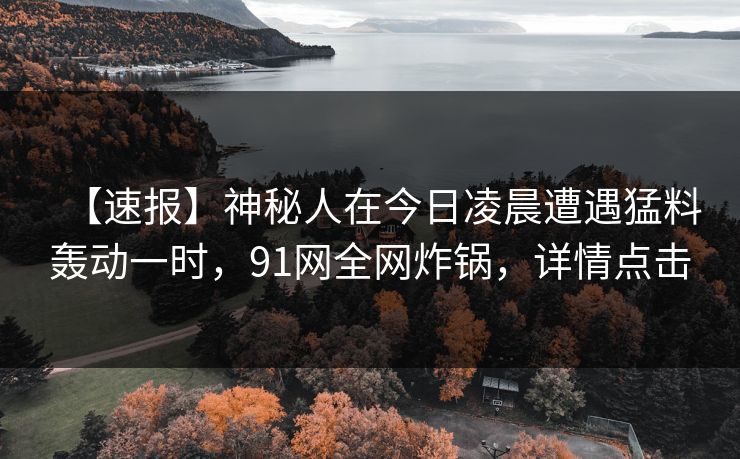 【速报】神秘人在今日凌晨遭遇猛料轰动一时，91网全网炸锅，详情点击