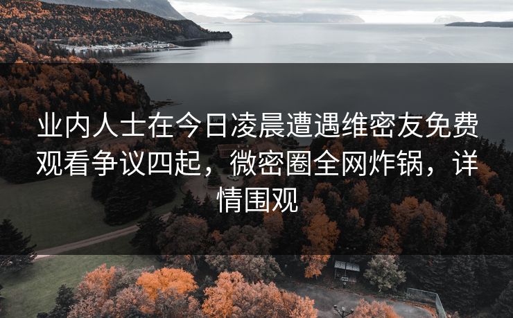 业内人士在今日凌晨遭遇维密友免费观看争议四起，微密圈全网炸锅，详情围观