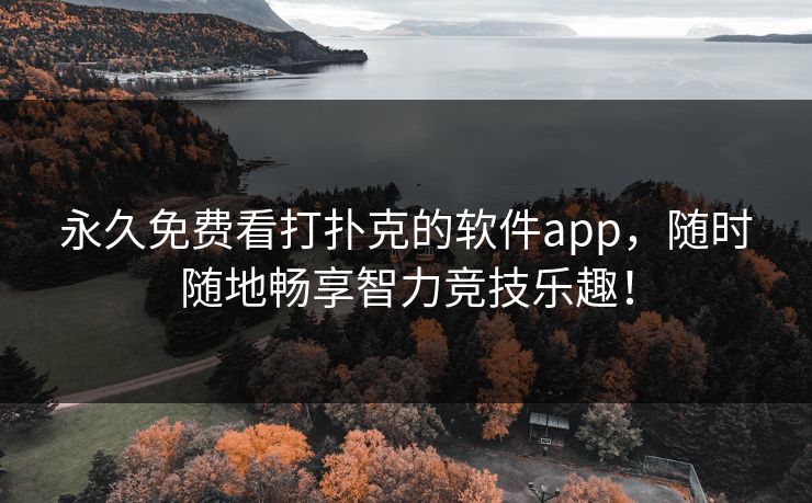 永久免费看打扑克的软件app，随时随地畅享智力竞技乐趣！