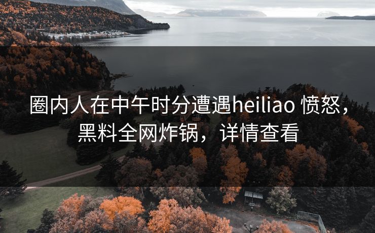 圈内人在中午时分遭遇heiliao 愤怒，黑料全网炸锅，详情查看