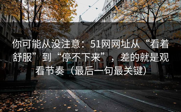 你可能从没注意：51网网址从“看着舒服”到“停不下来”，差的就是观看节奏（最后一句最关键）