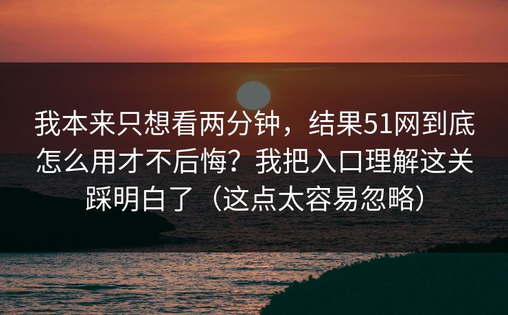 我本来只想看两分钟，结果51网到底怎么用才不后悔？我把入口理解这关踩明白了（这点太容易忽略）
